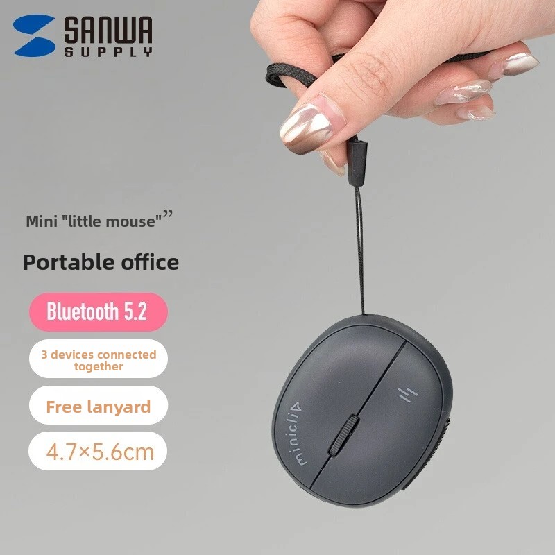 Custom SANWA Miniature Mini Mo - огляд і ціна Laser Pointer Presenter